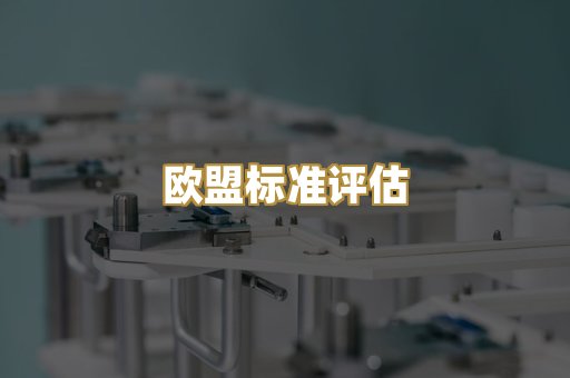 欧盟标准评估