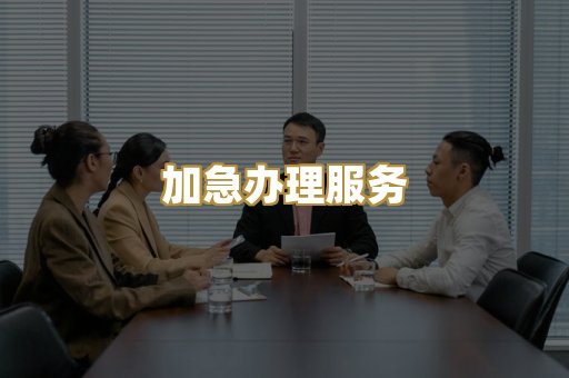 加急办理服务